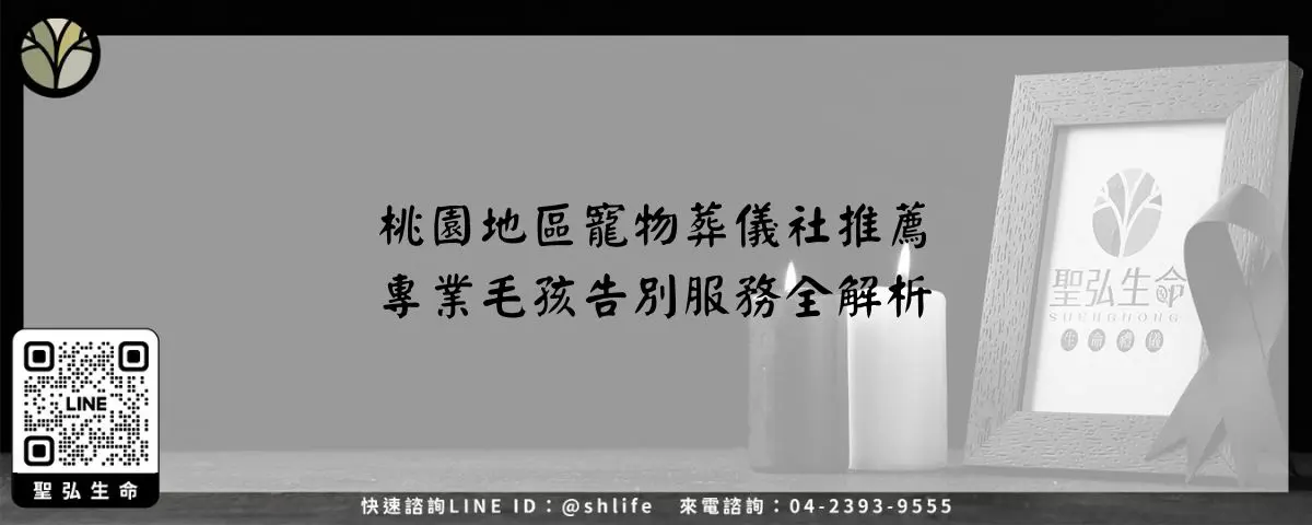桃園地區寵物葬儀社推薦－專業毛孩告別服務全解析