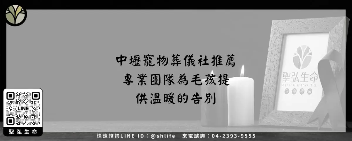 中壢寵物葬儀社推薦－專業團隊為毛孩提供溫暖的告別