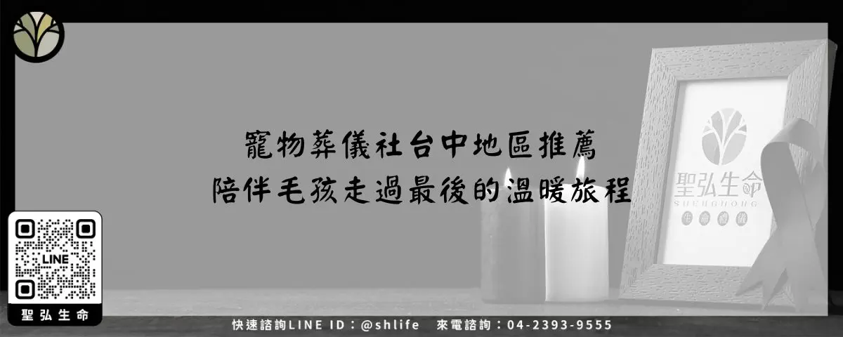 寵物葬儀社台中地區推薦－陪伴毛孩走過最後的溫暖旅程