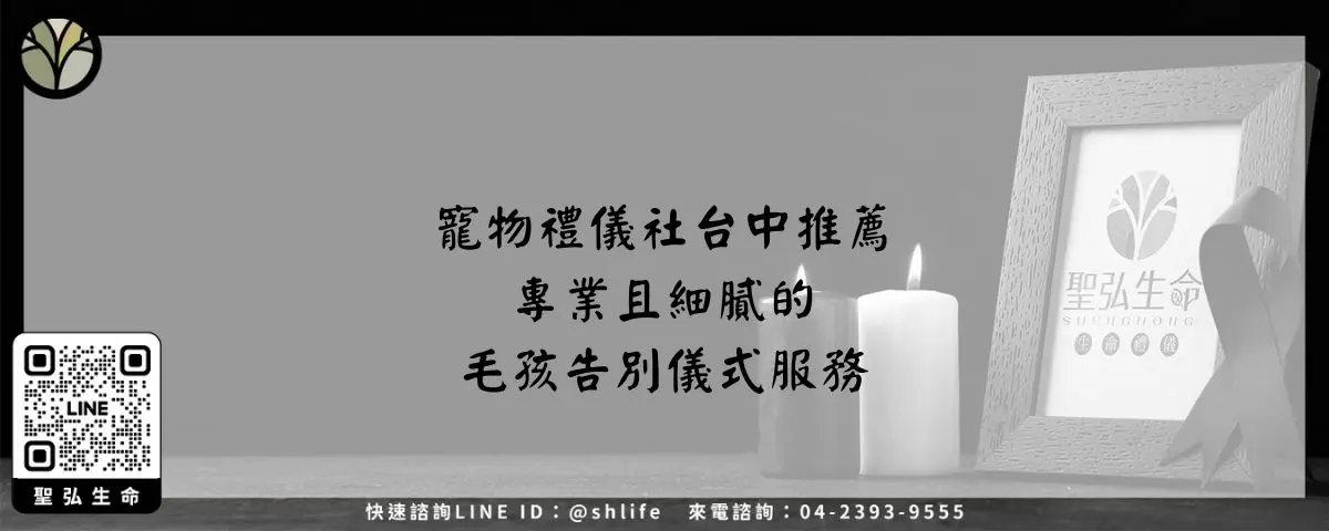 寵物禮儀社台中推薦－專業且細膩的毛孩告別儀式服務