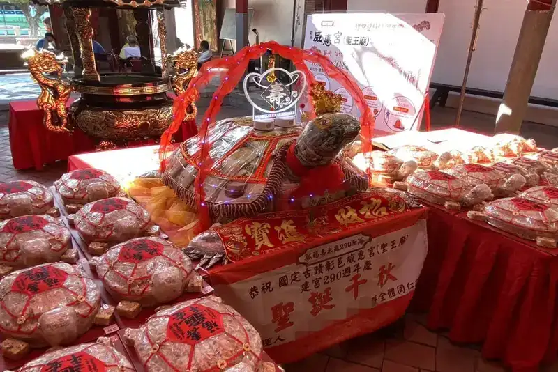 祝壽烏龜實拍圖-04.webp