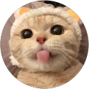 丸本 profile picture