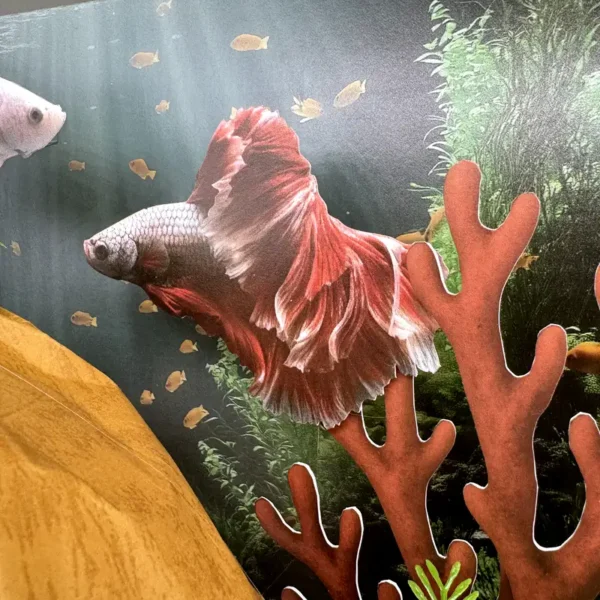 紙紮水族箱組-5